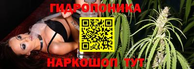 прущие крисы Новокубанск