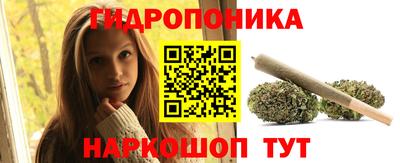 скорость Новодвинск