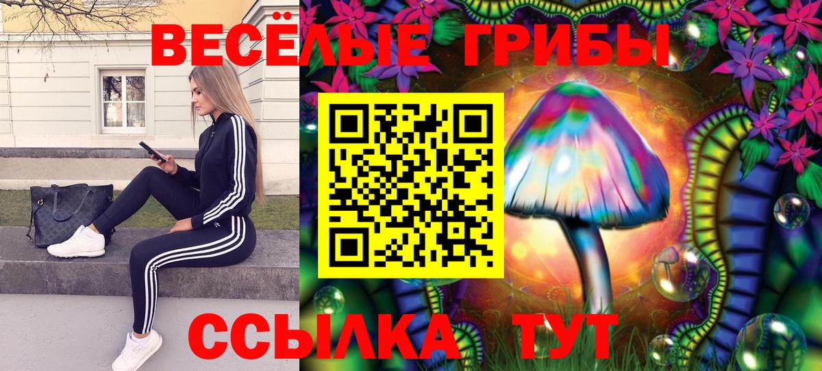Псилоцибиновые грибы мухоморы Сосновый Бор