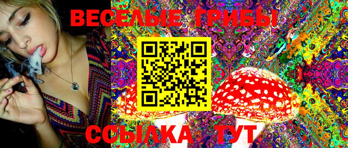 Сосновый Бор  Галлюциногенные грибы Cubensis  Вход с VPN  Галлюциногенные грибы GOLDEN TEACHER 
